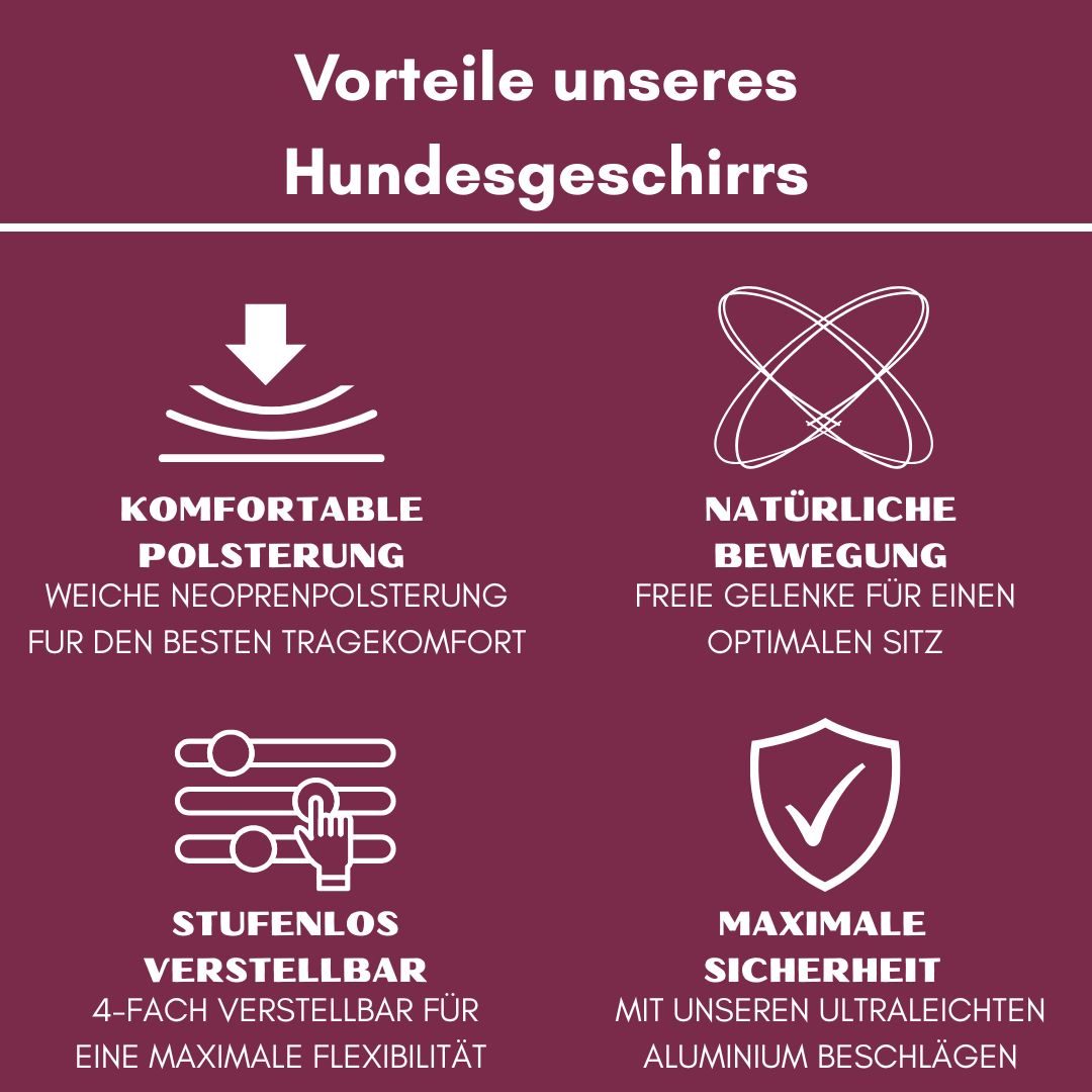 Y-Hundegeschirr 4fach-verstellbar mit Griff und Sicherheitsschnallen Bordeaux - ultraleicht