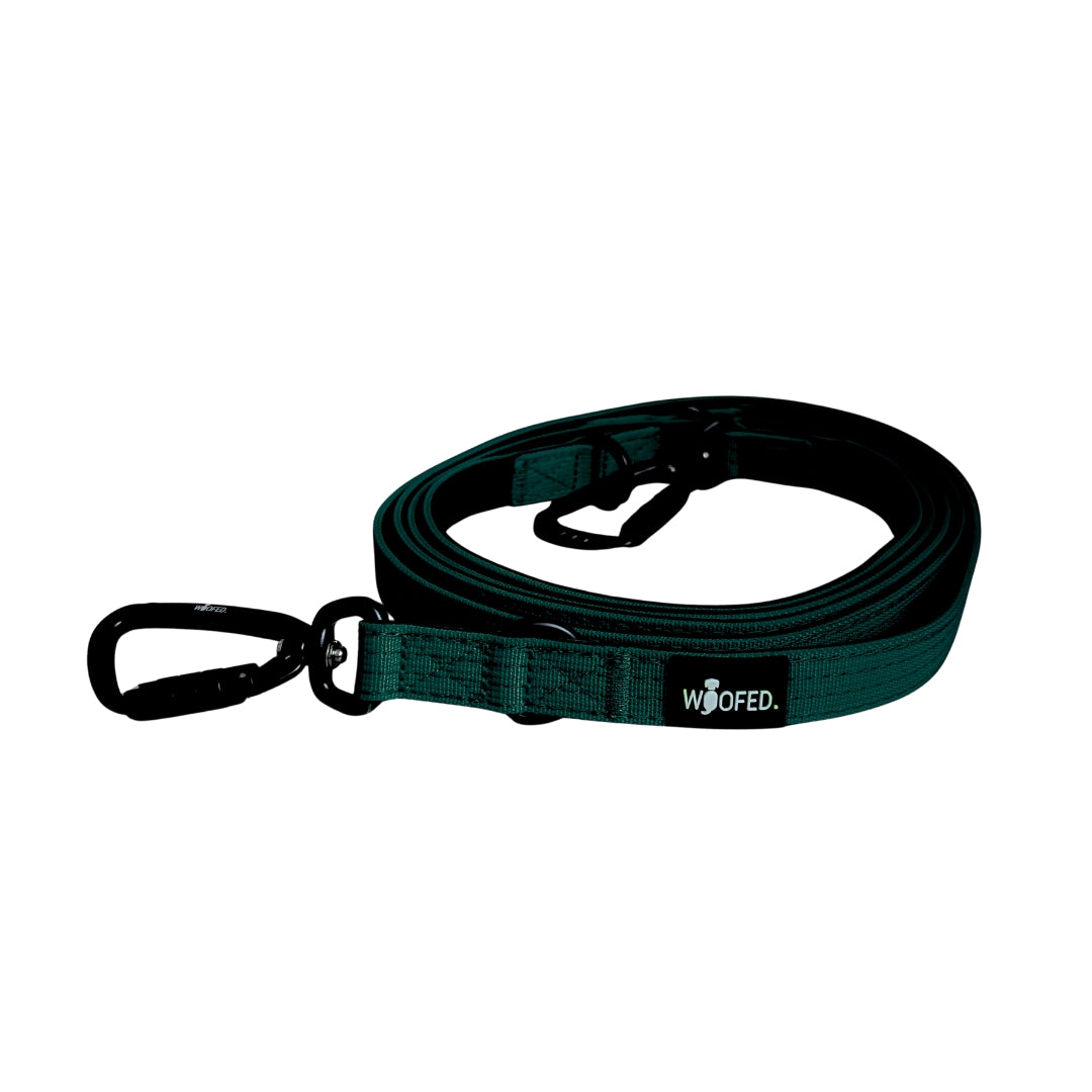 Nylon Pro Führleine Dark Green