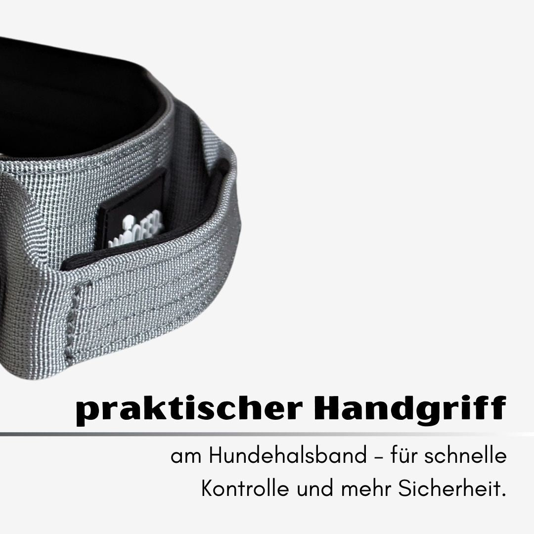 taktisches Nylon Halsband Silver Grey