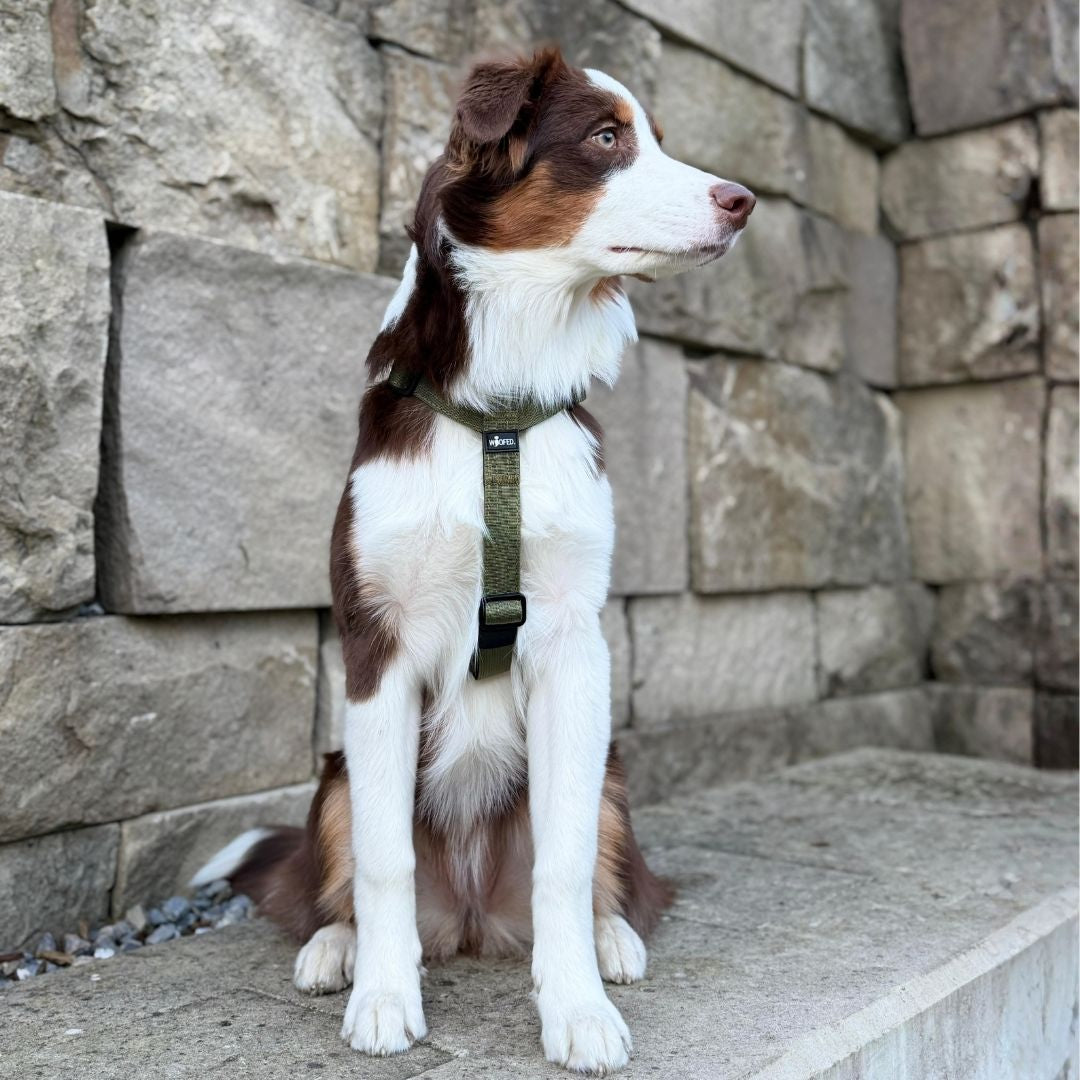 Y-Hundegeschirr 4fach-verstellbar mit Griff und Sicherheitsschnallen Military Olive - ultraleicht