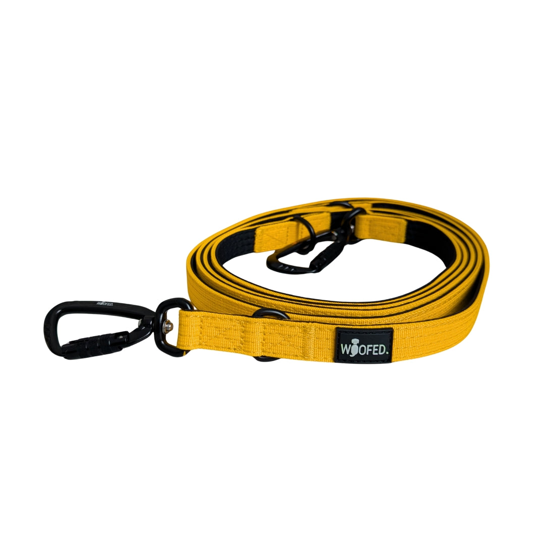 Nylon Pro Führleine Sunset Yellow