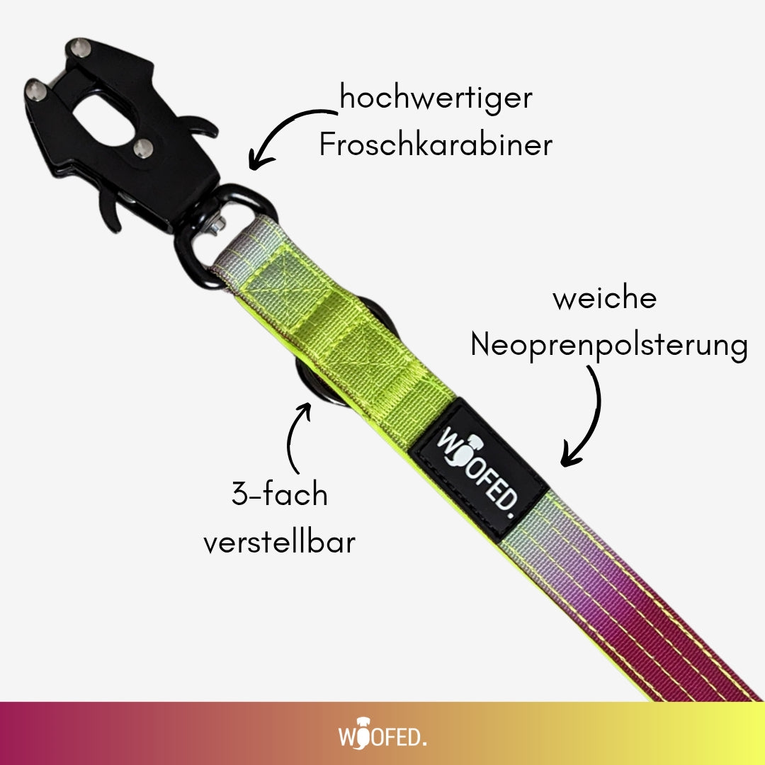 Nylon Tactical Leash Lime Wine