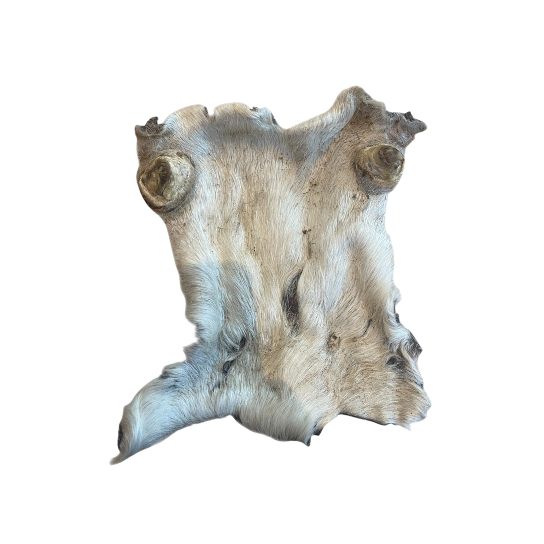 Rinderkopfhaut Platten mit Fell