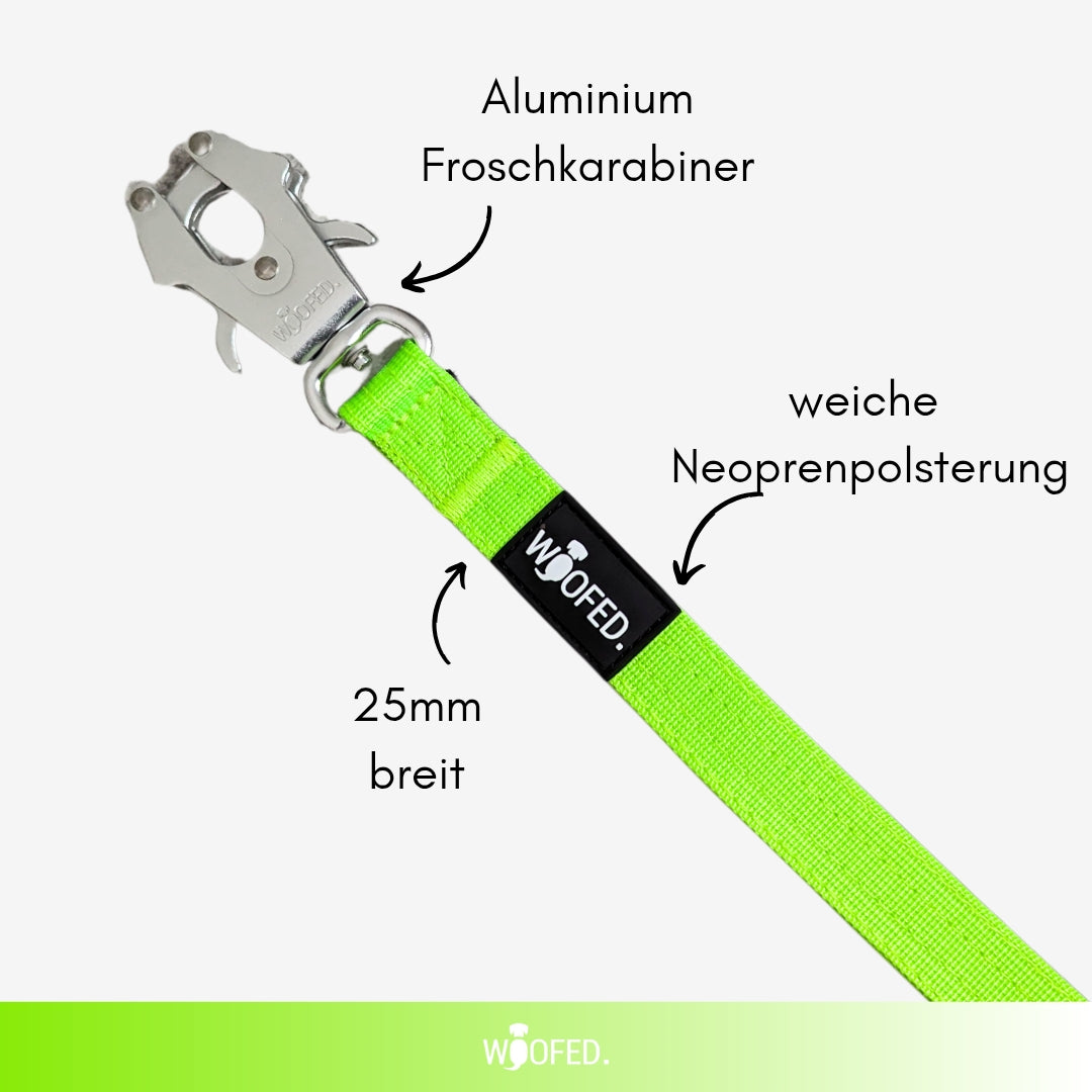 taktische Nylon Führleine Apple Green