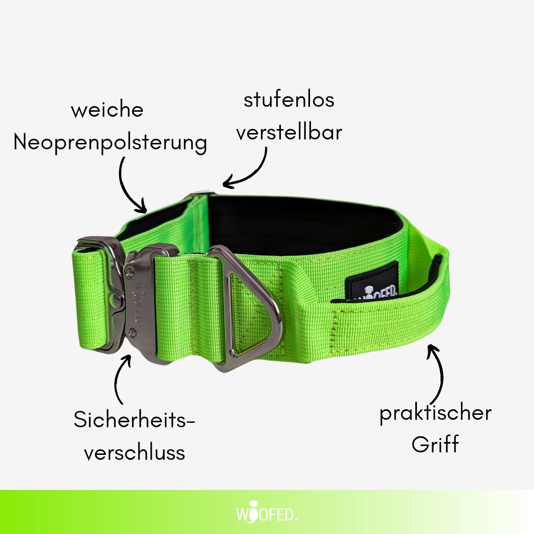 taktisches Nylon Halsband Apple Green