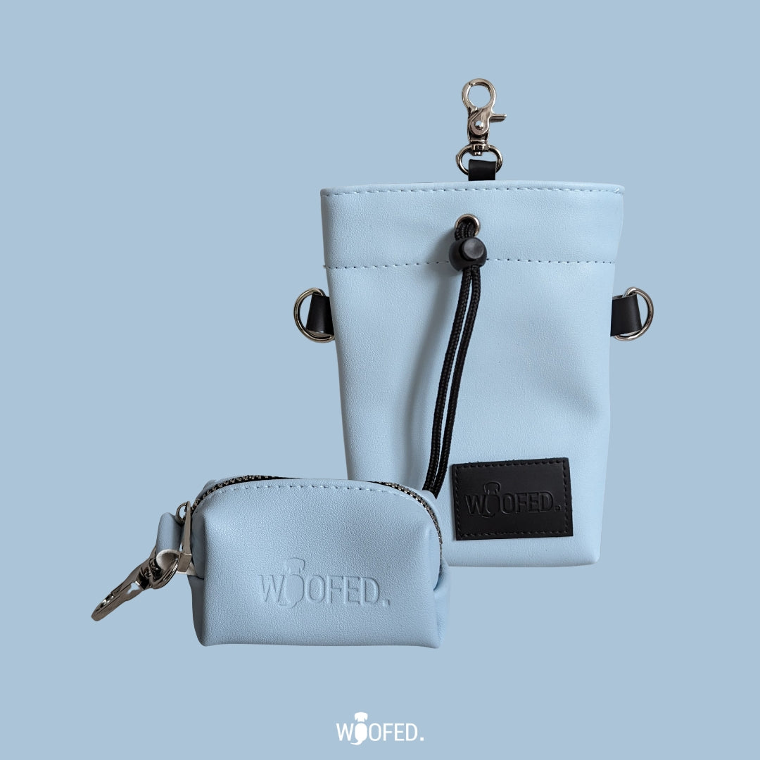 Sky Blue treat bag
