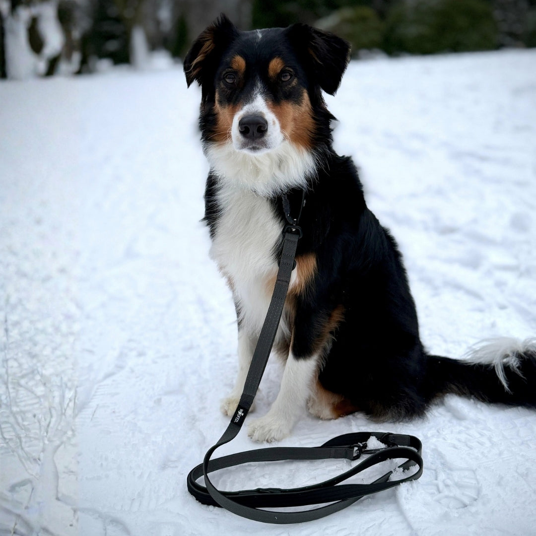 Nylon Pro Führleine Deep Black