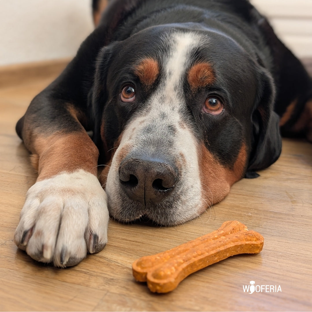 Süßkartoffel Kauknochen