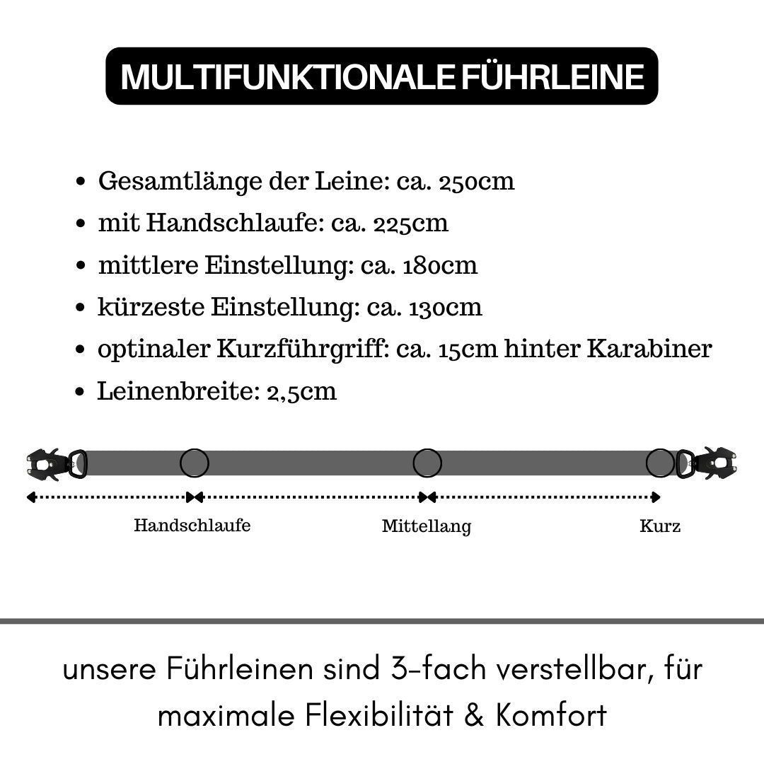 taktische Nylon Führleine Anthracite
