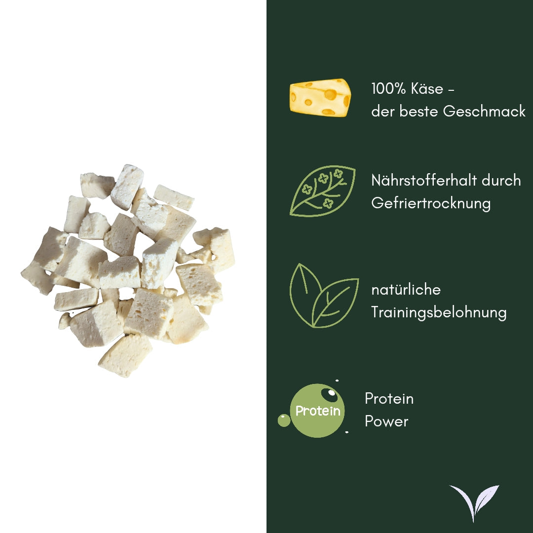 Käse gefriertgetrocknet