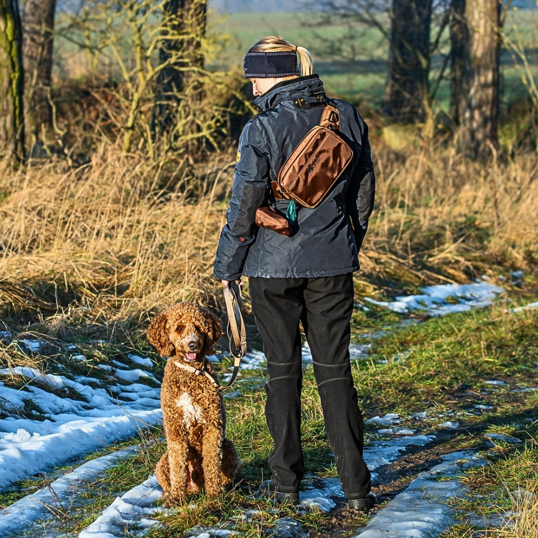 Nylon Retrieverleine verstellbar Desert Tan
