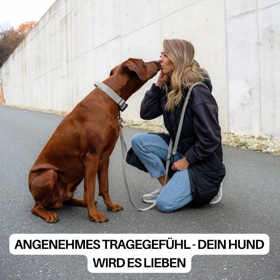 WOOFLEX Desert Sand verstellbares Halsband mit Griff am sitzenden braunen Hund, seitliche Ansicht, Frau kniet daneben
