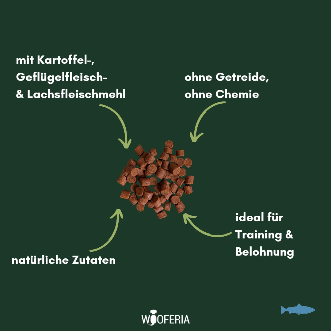 Lachs Softies – braune, kleine zylindrische Leckerli-Häufchen, Draufsicht auf dunkelgrünem Hintergrund mit Pfeilen und Text
