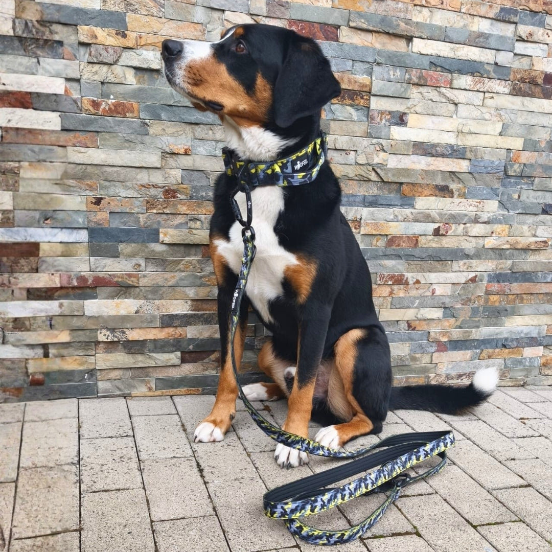 Nylon Führleine mit Sicherheitskarabiner Yellow Camo