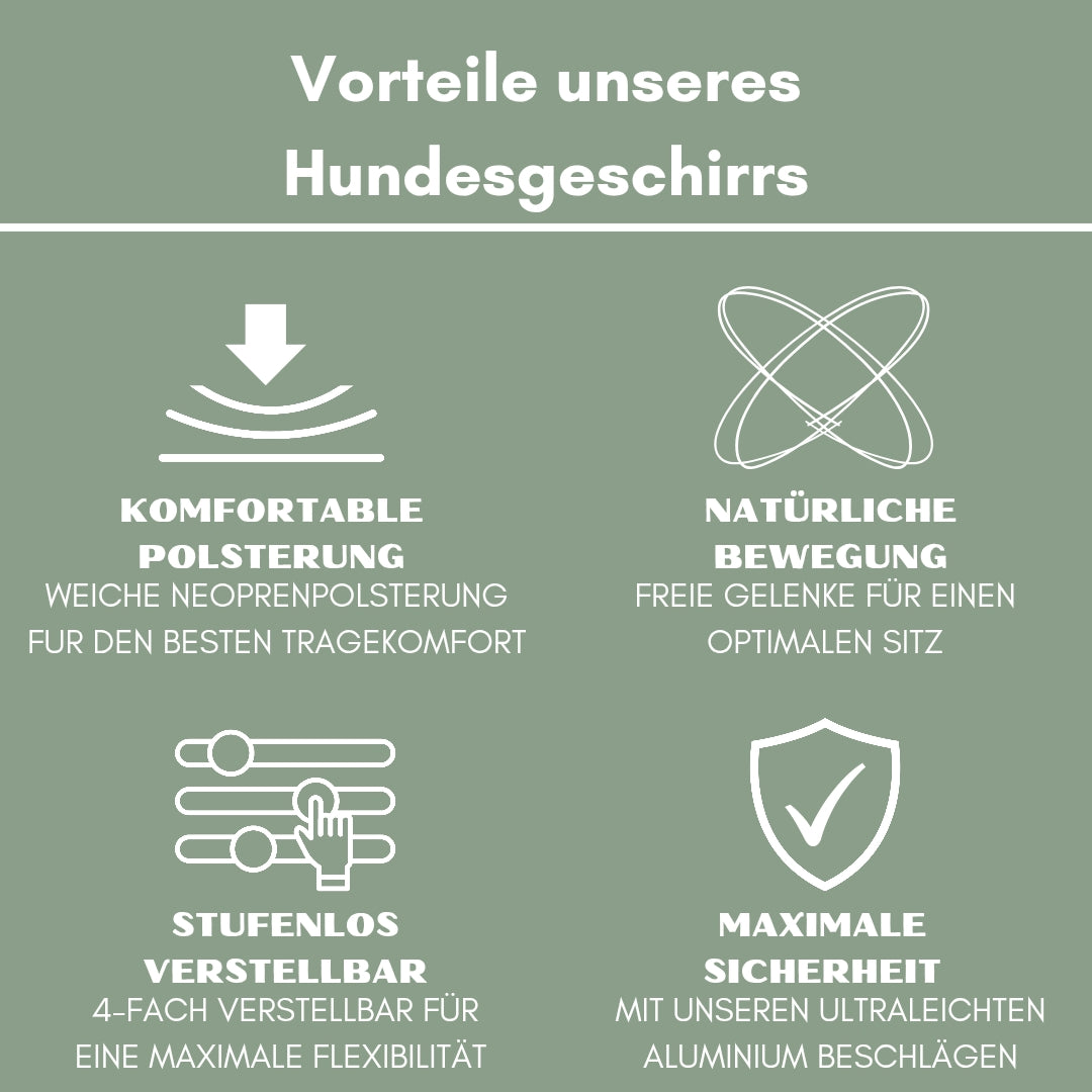 Y-Hundegeschirr 4fach-verstellbar mit Griff und Sicherheitsschnallen Sage Green - ultraleicht