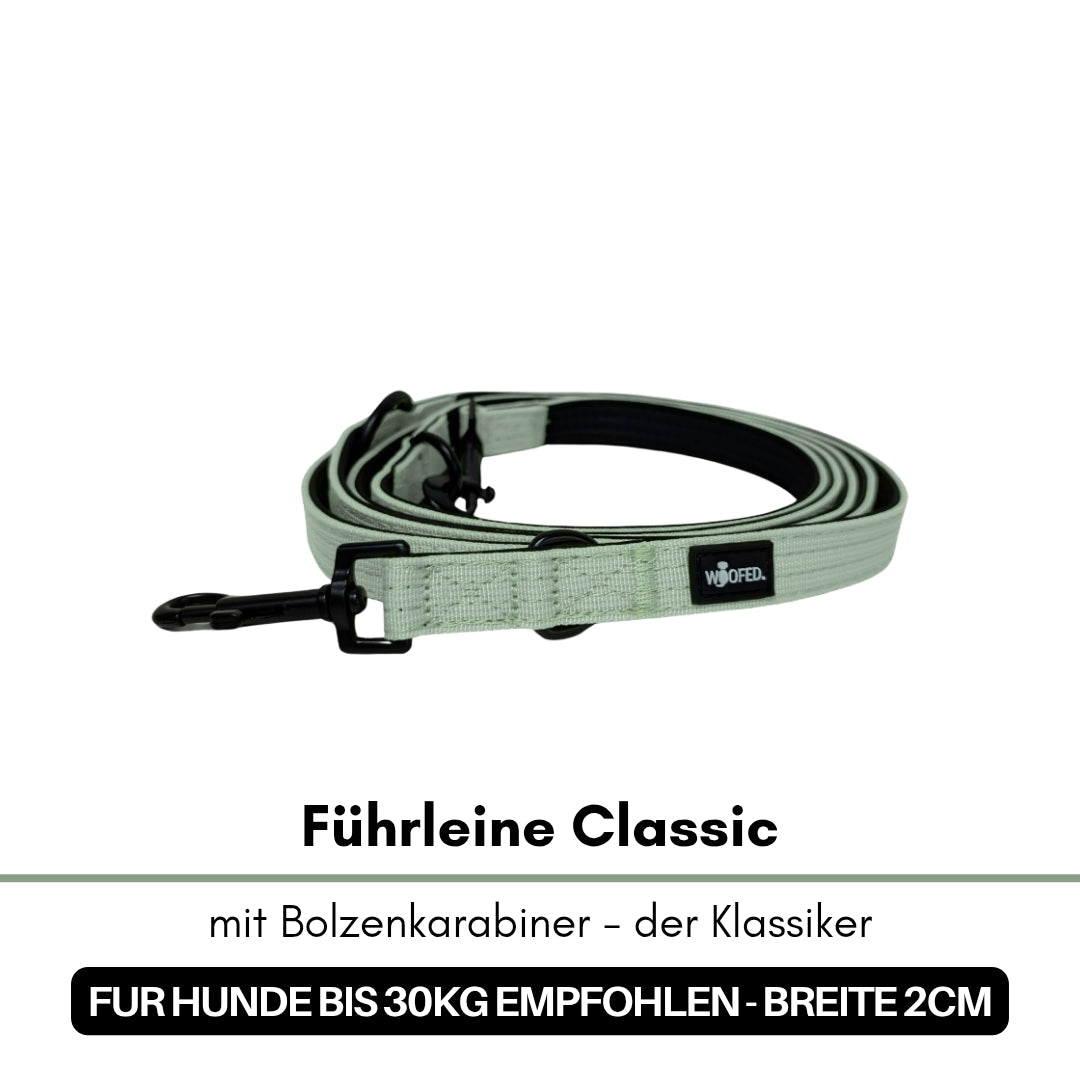 Aufgerollte sagegrüne Nylon-Führleine, frontale Nahaufnahme mit schwarzem Bolzenkarabiner und kleinem schwarzem Label