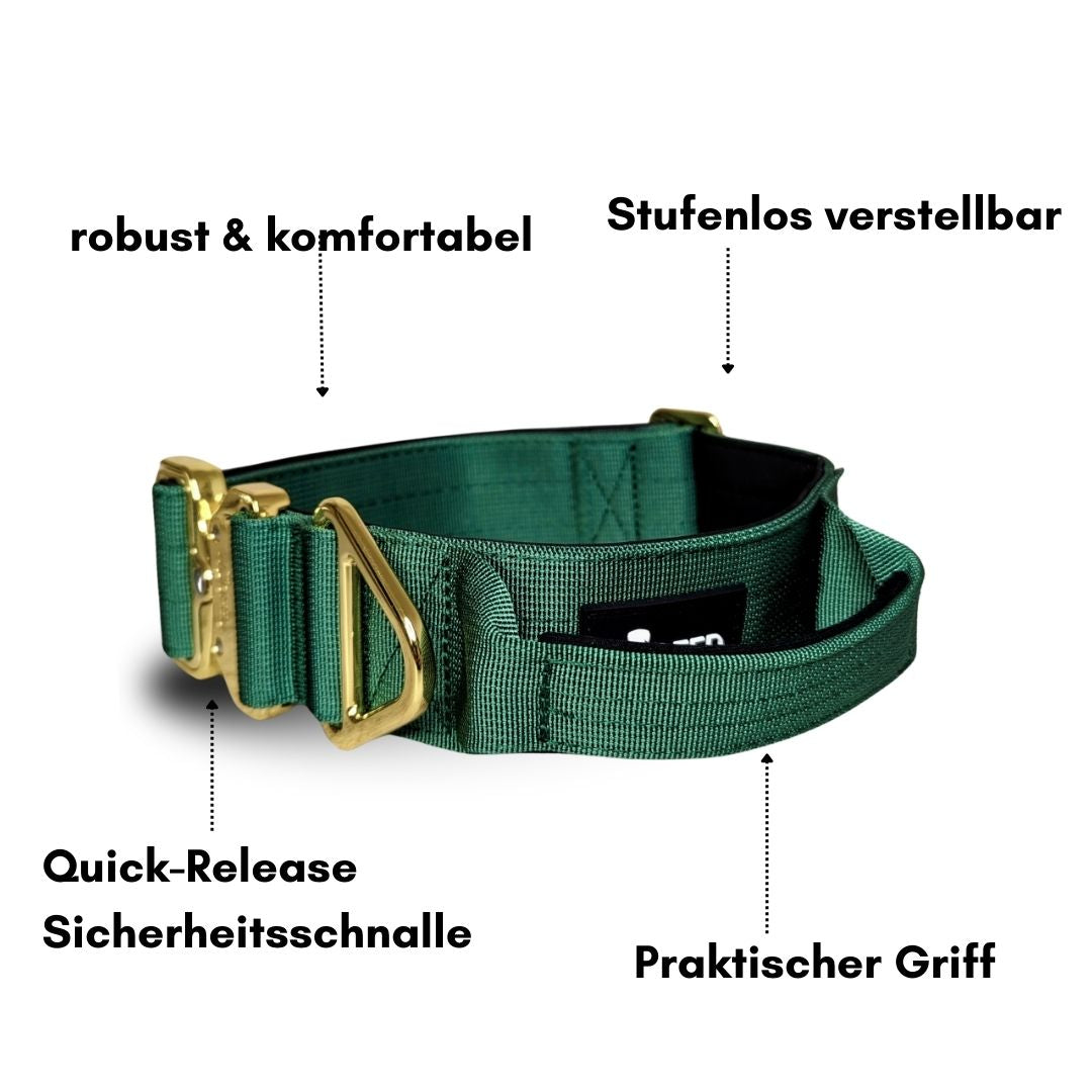 taktisches Nylon Halsband Emerald Green