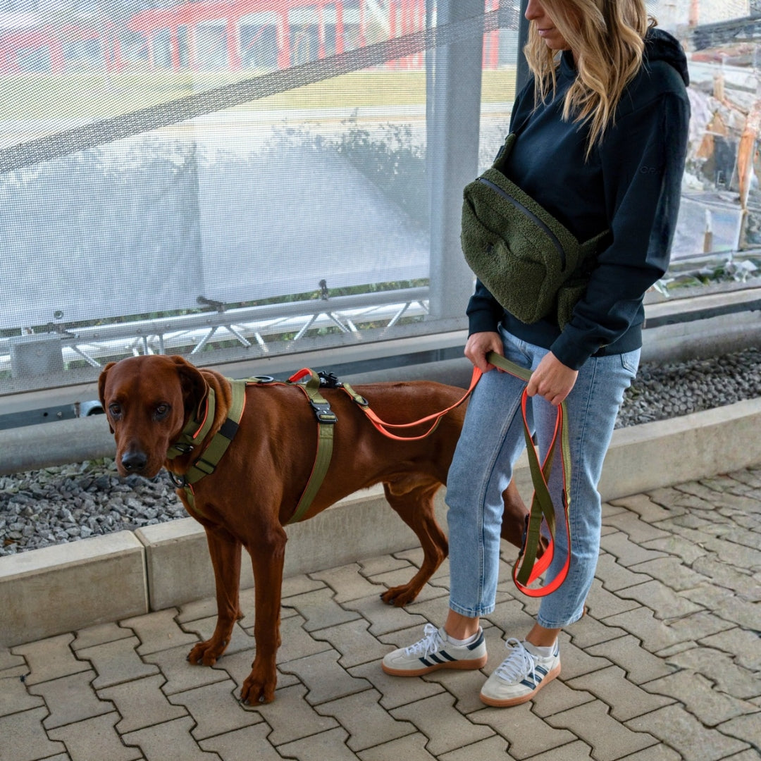 Y-Hundegeschirr 4fach-verstellbar mit Griff und Sicherheitsschnallen Hunter Glow - ultraleicht