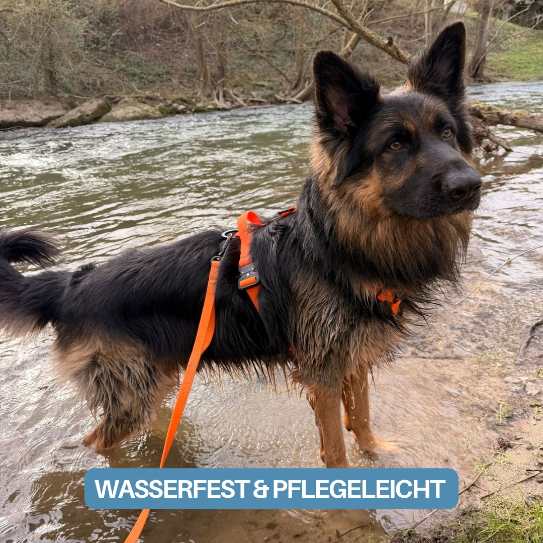 Y-Hundegeschirr WOOFLEX® 4fach-verstellbar mit Griff und Sicherheitsschnallen Sunset Orange - wasserfest