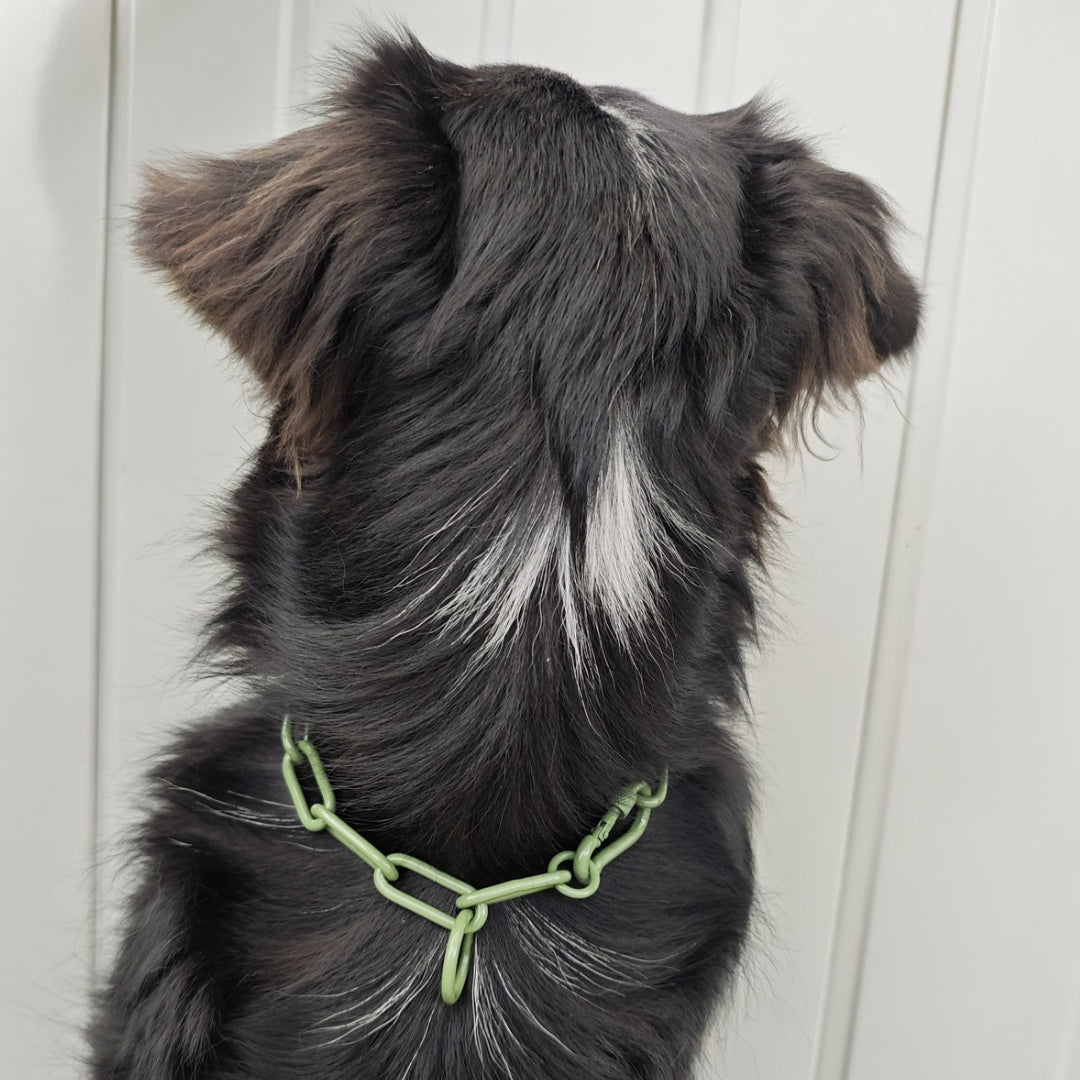 Woofchain Kettenhalsband aus Edelstahl Olive