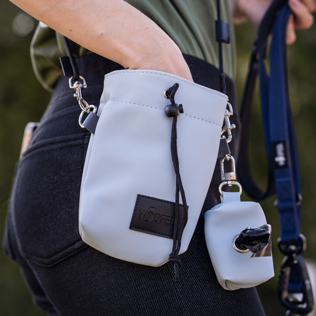 Sky Blue poop bag dispenser