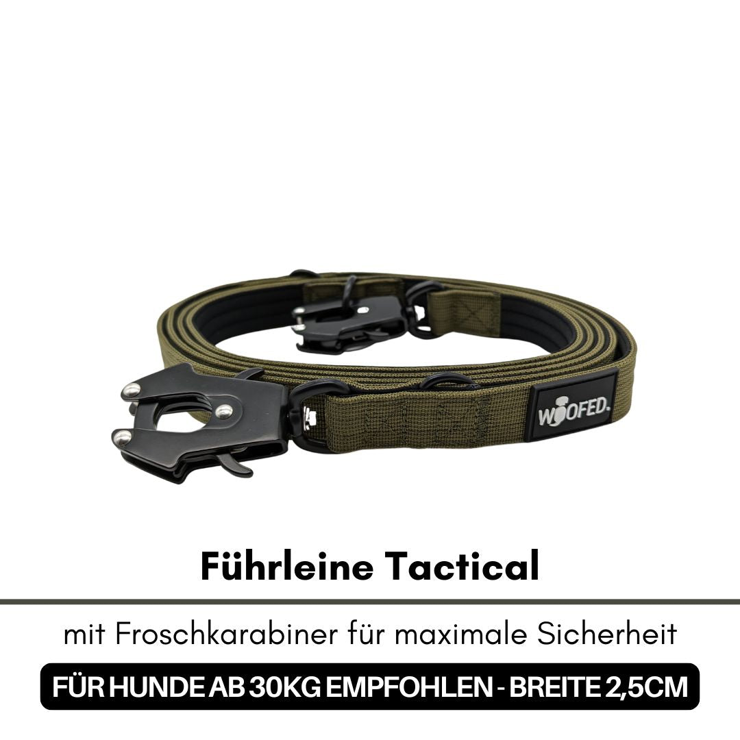 Halsband-Leinen-Set Nylon Military Olive