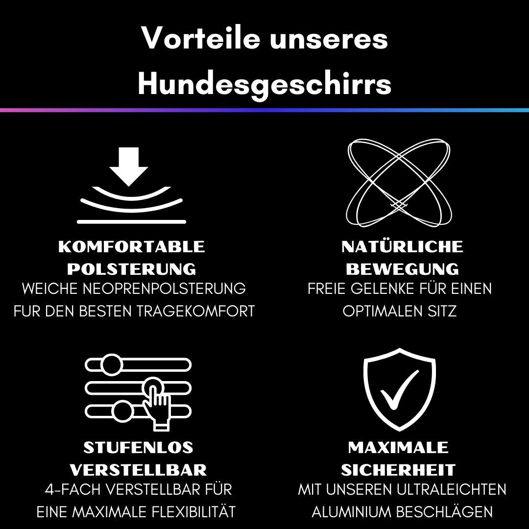 Y-Hundegeschirr 4fach-verstellbar mit Griff und Sicherheitsschnallen Pink Blue Sky - ultraleicht