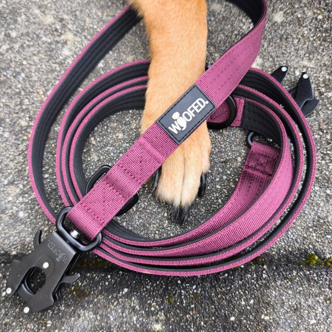 Nylon Tactical Führleine Bordeaux