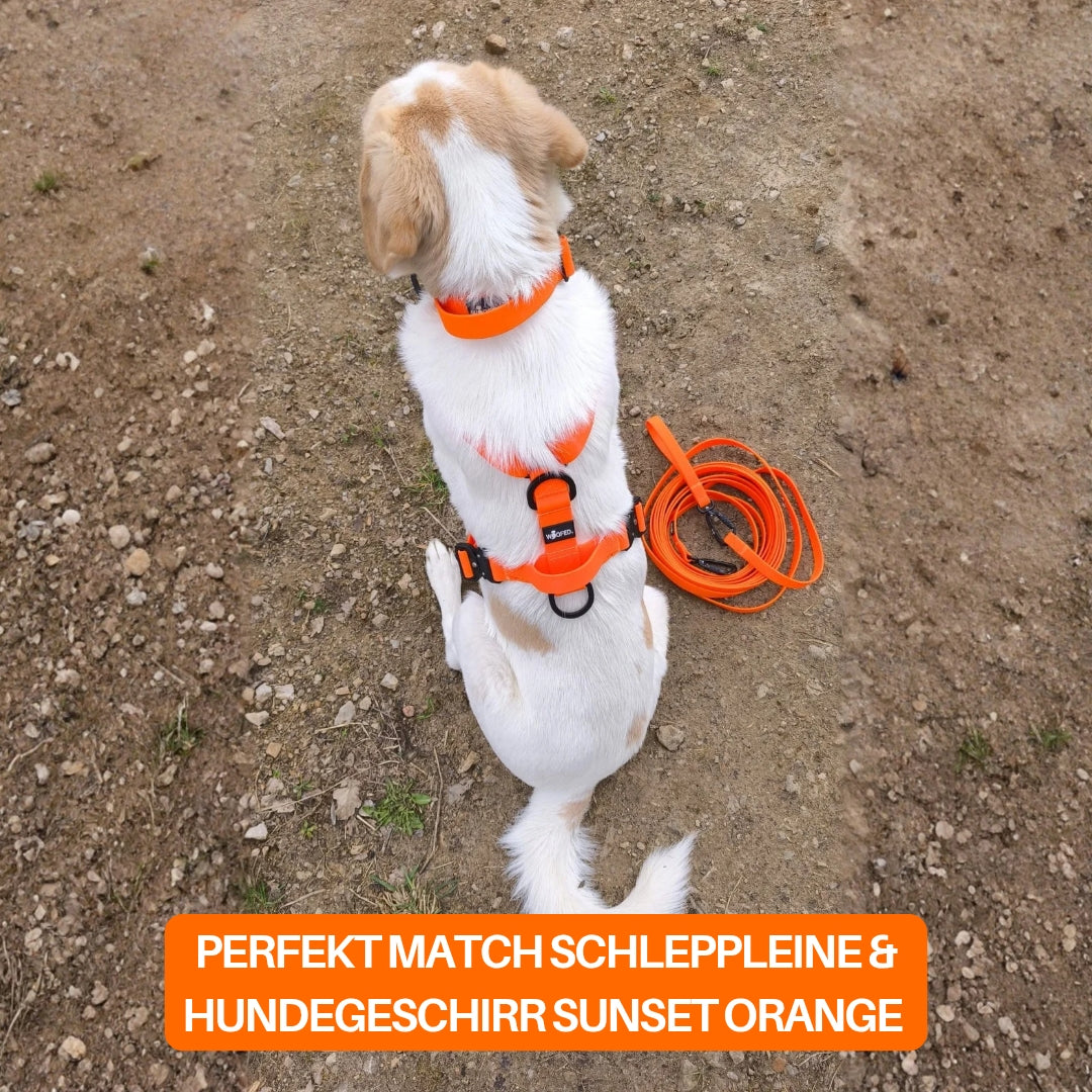 multifunktionale Schleppleine WOOFLEX® Sunset Orange