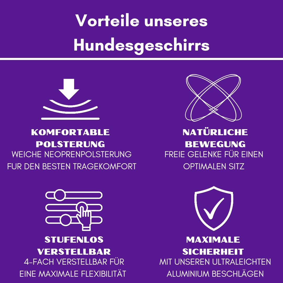 Y-Hundegeschirr 4fach-verstellbar mit Griff und Sicherheitsschnallen Velvet Purple - ultraleicht