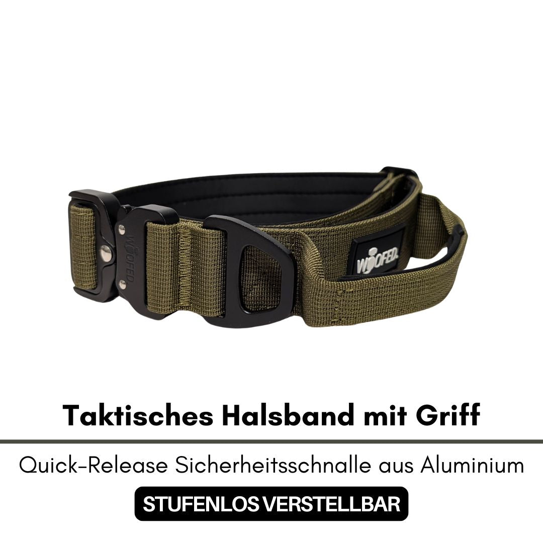 Halsband-Leinen-Set Nylon Military Olive