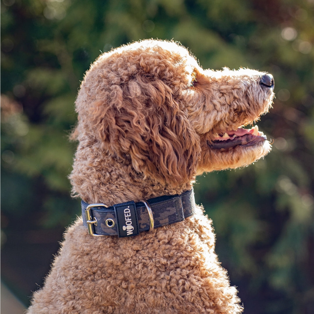 Nylon Classic Halsband Black Camo