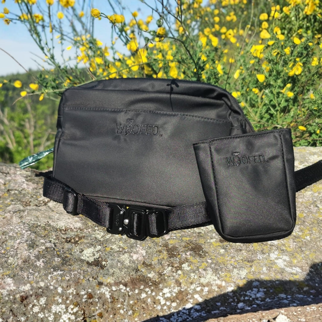 Multifunktionale Gassitasche - 2 in 1 Bauchtasche & Schultertasche Schwarz