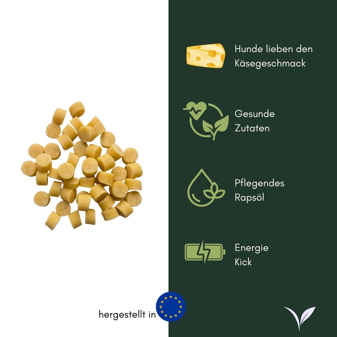 Käse Softies – hellgelbe, kleine zylindrische Scheiben (Hundesnacks) auf weißem Hintergrund neben grüner Infografik