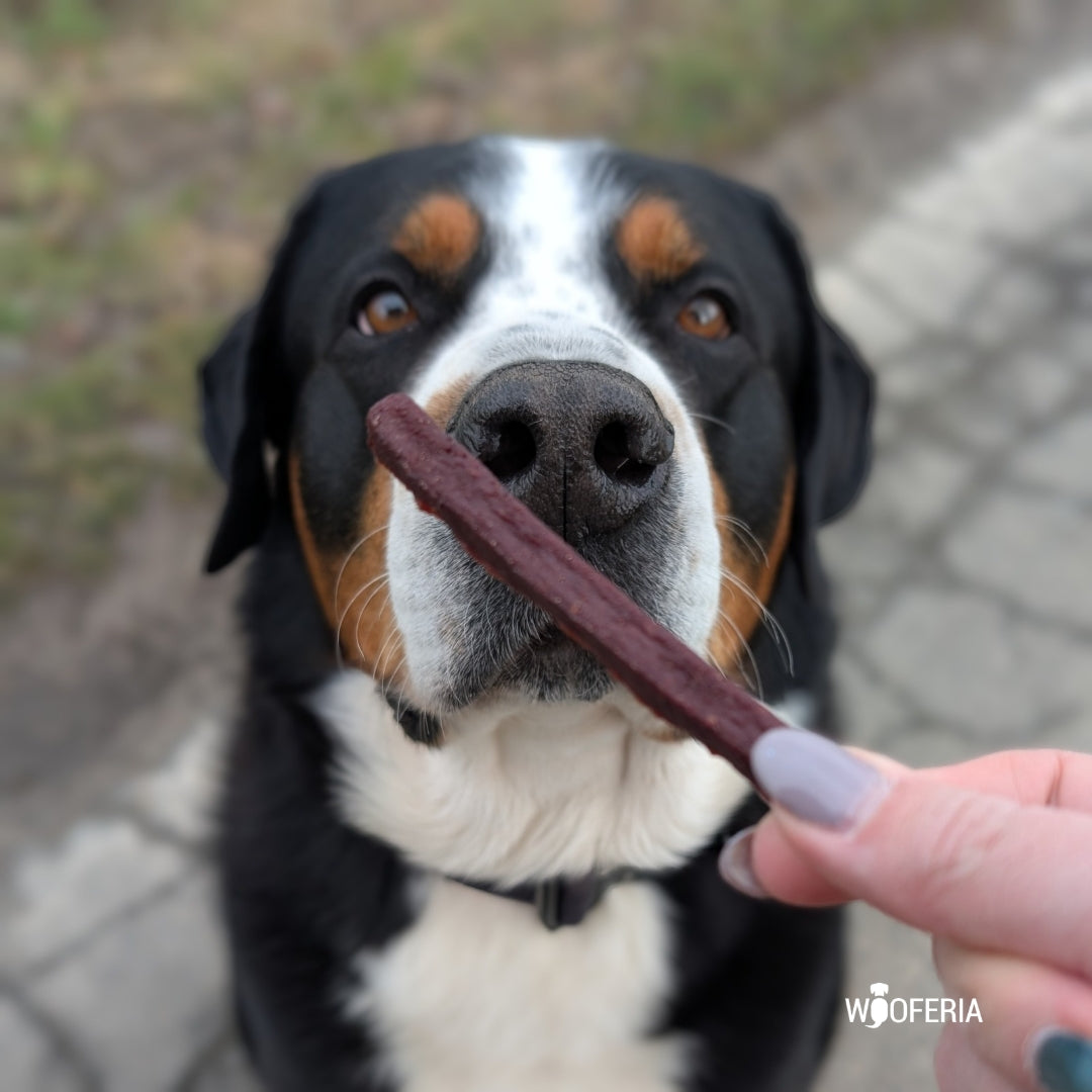 Pferdedörrfleisch Sticks