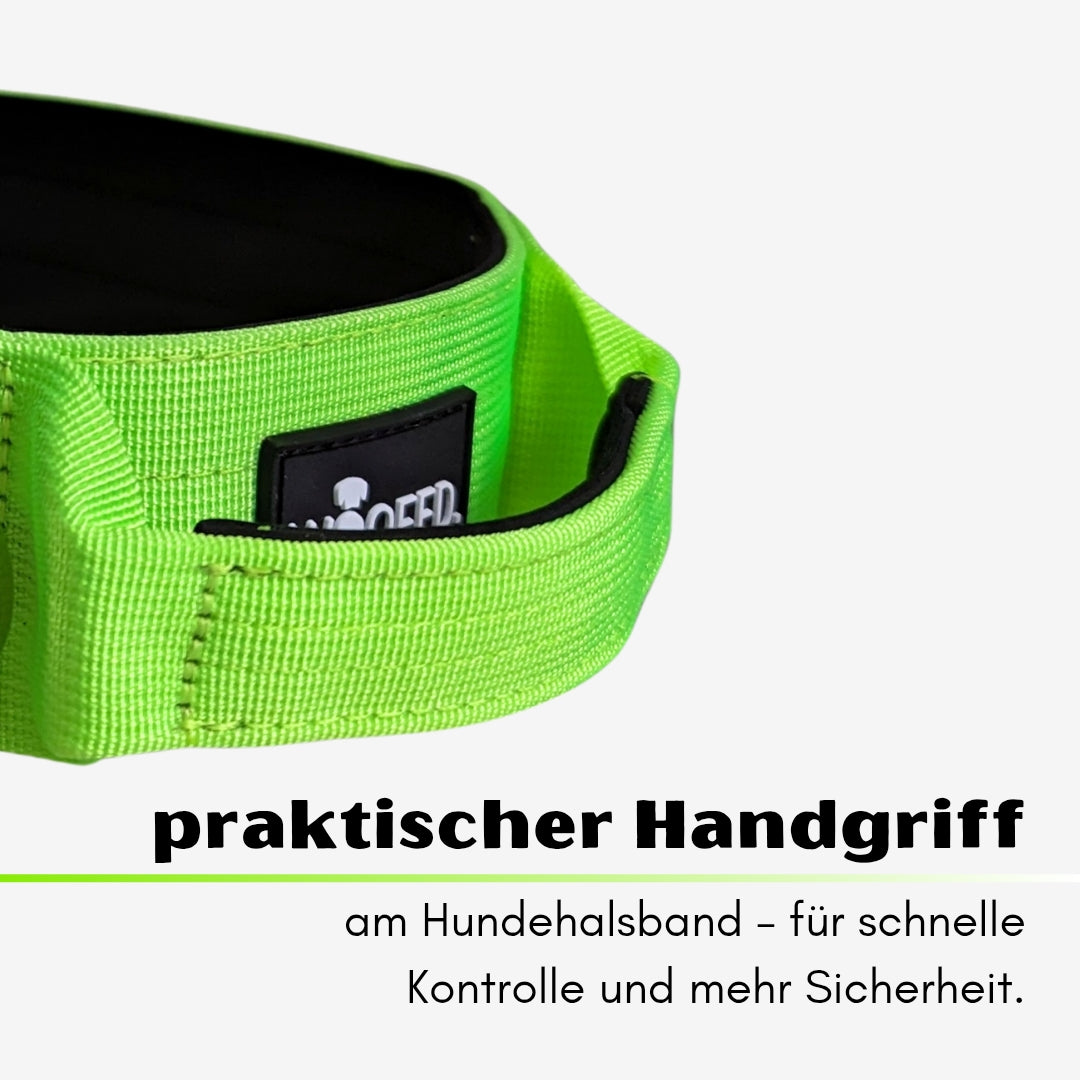 taktisches Nylon Halsband Apple Green