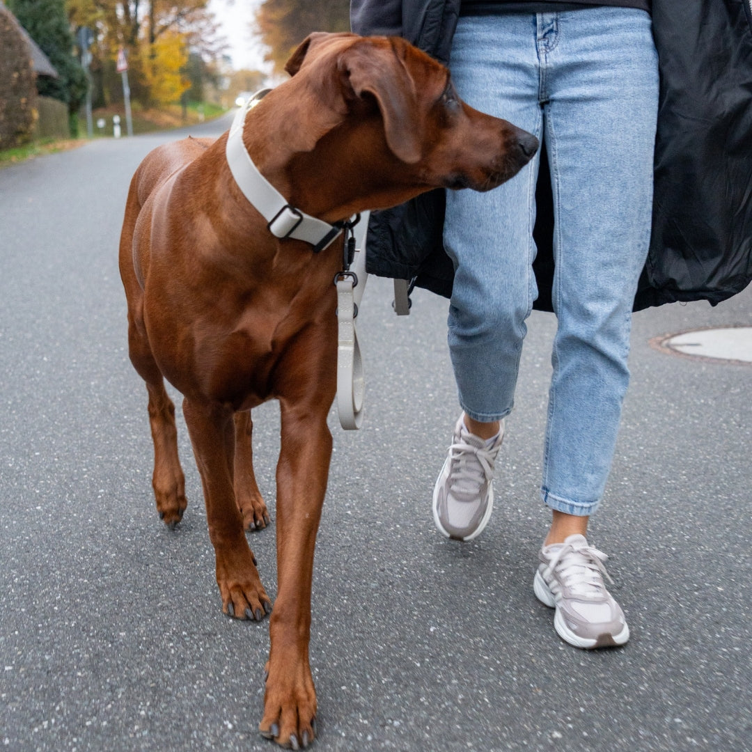Halsband WOOFLEX® Tactical verstellbar mit Griff Desert Sand