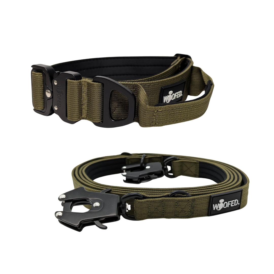 Nylon Halsband-Leine-Set Military Olive ultraleicht