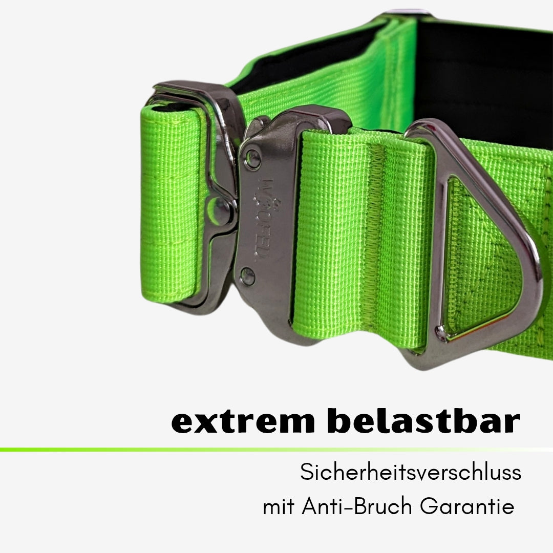 taktisches Nylon Halsband Apple Green