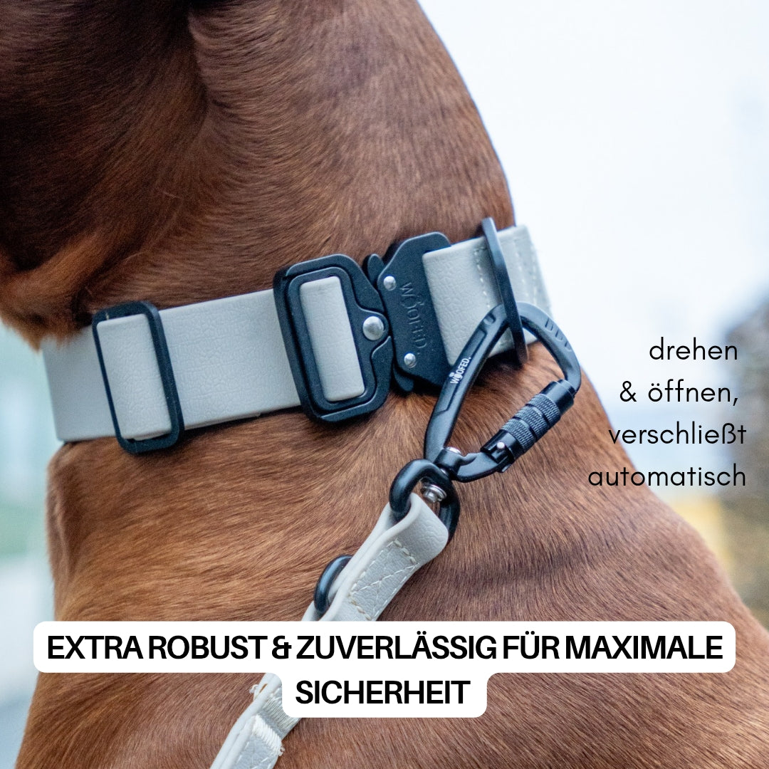 Nahaufnahme: sandfarbene verstellbare Führleine mit schwarzem Twist-Lock-Karabiner am Hals eines Hundes, seitliche Ansicht