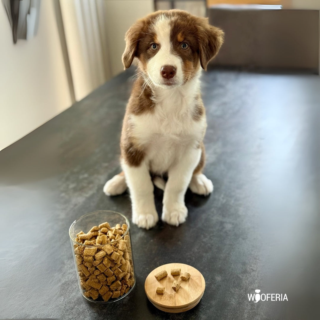 Veggie Trainingssnack