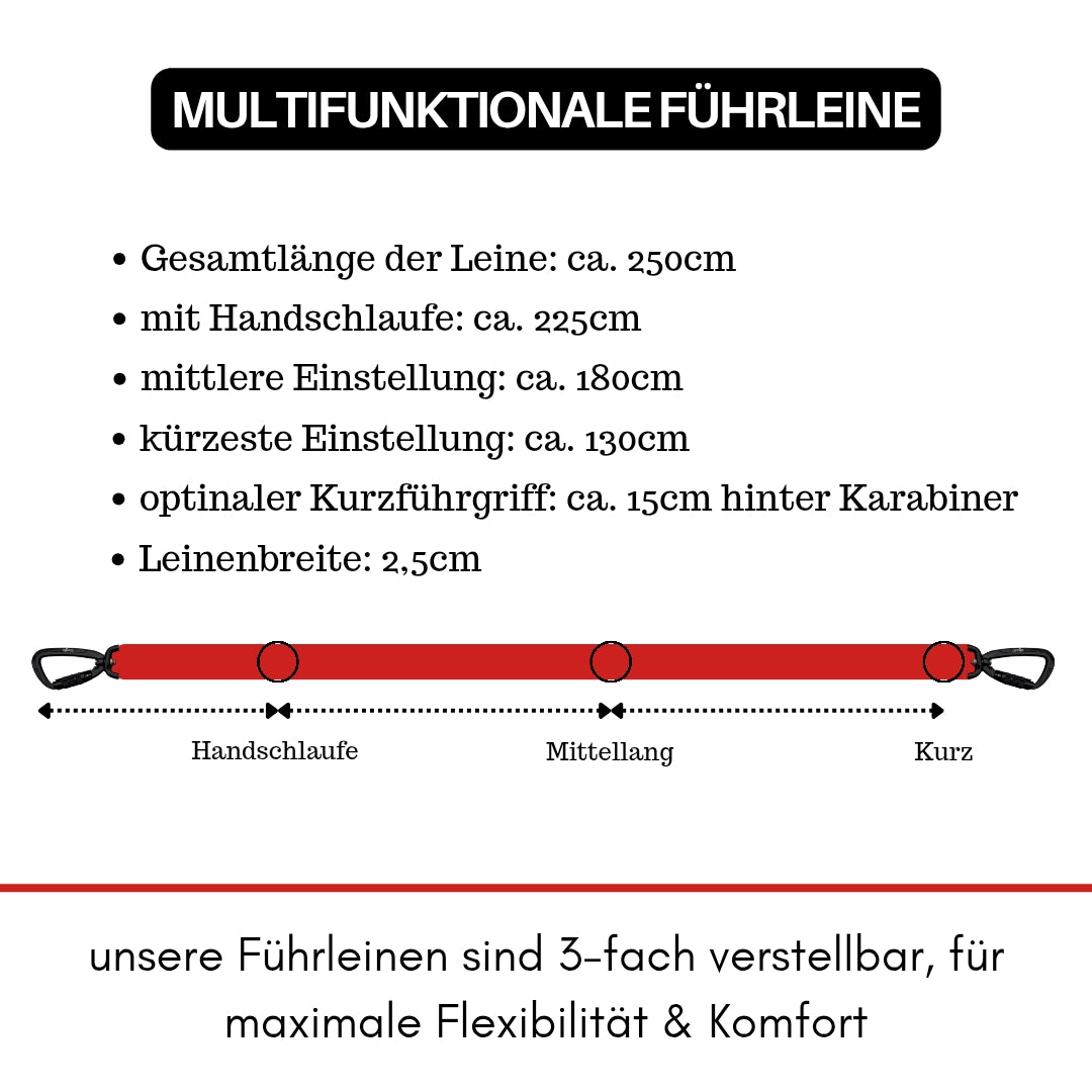 Nylon Pro Führleine Rosso Red