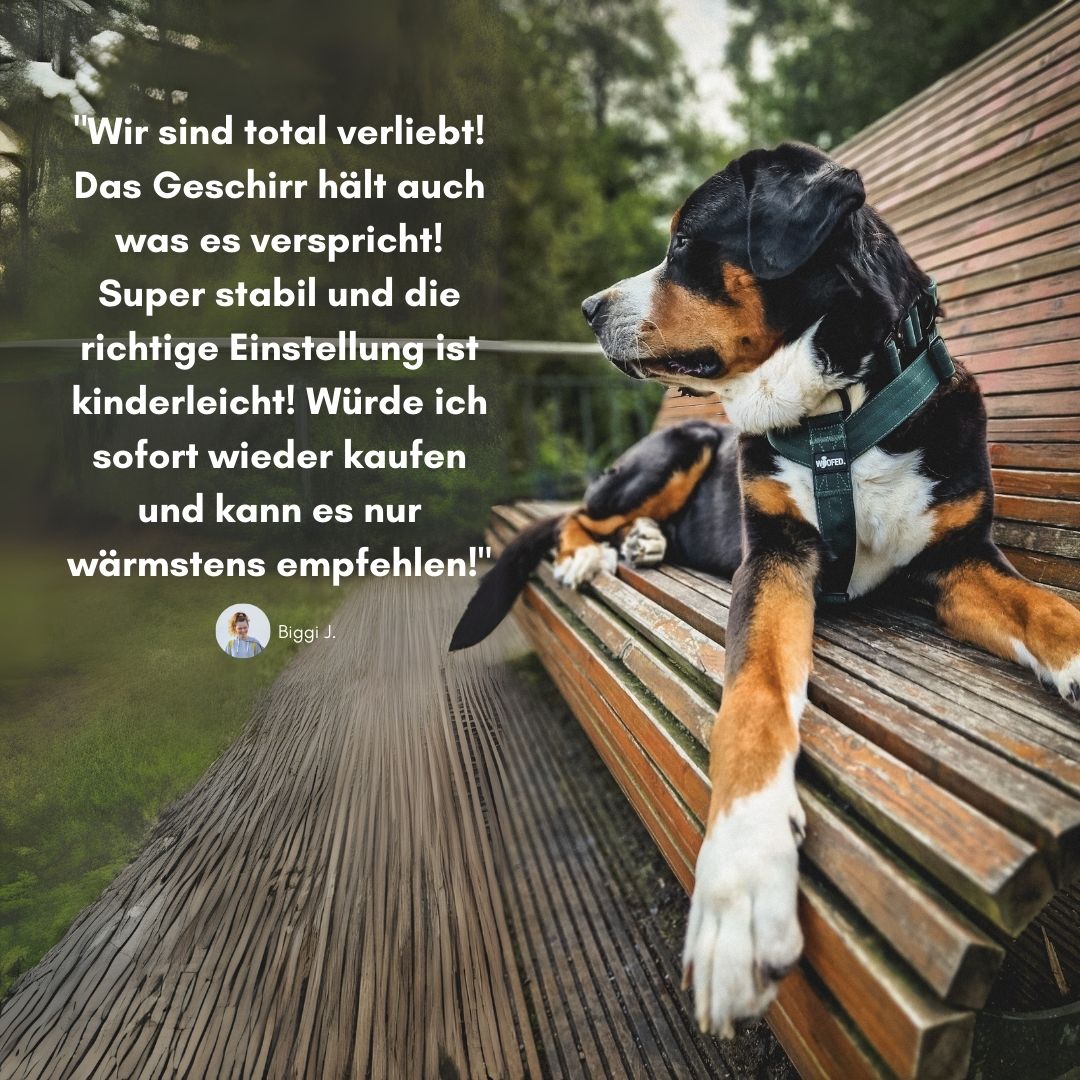Y-Hundegeschirr 4fach-verstellbar mit Griff und Sicherheitsschnallen Dark Green - ultraleicht