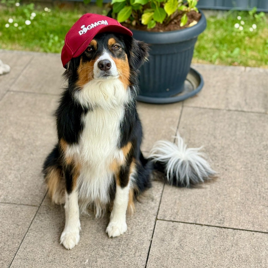 Cap "Dogmom"