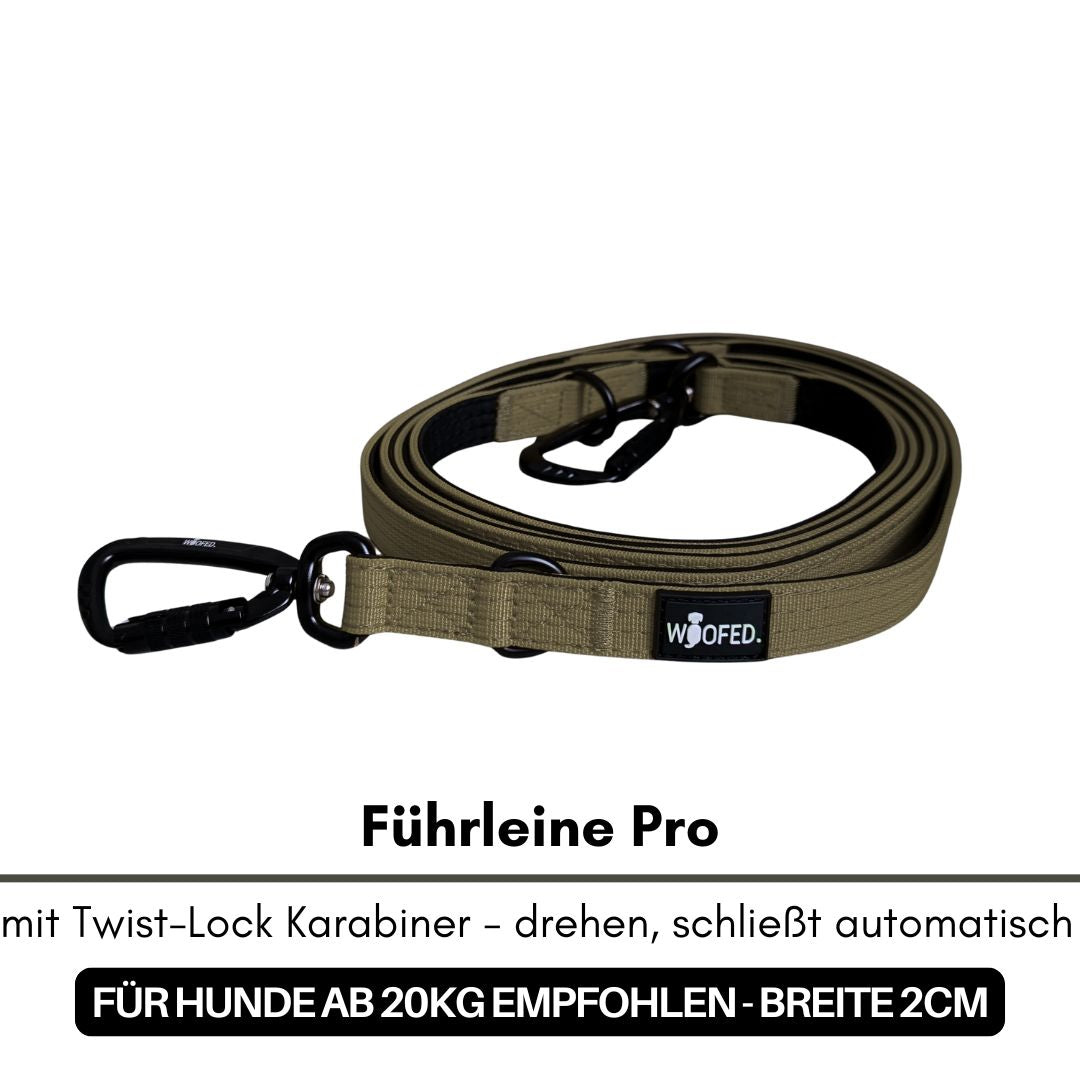 Halsband-Leinen-Set Nylon Military Olive