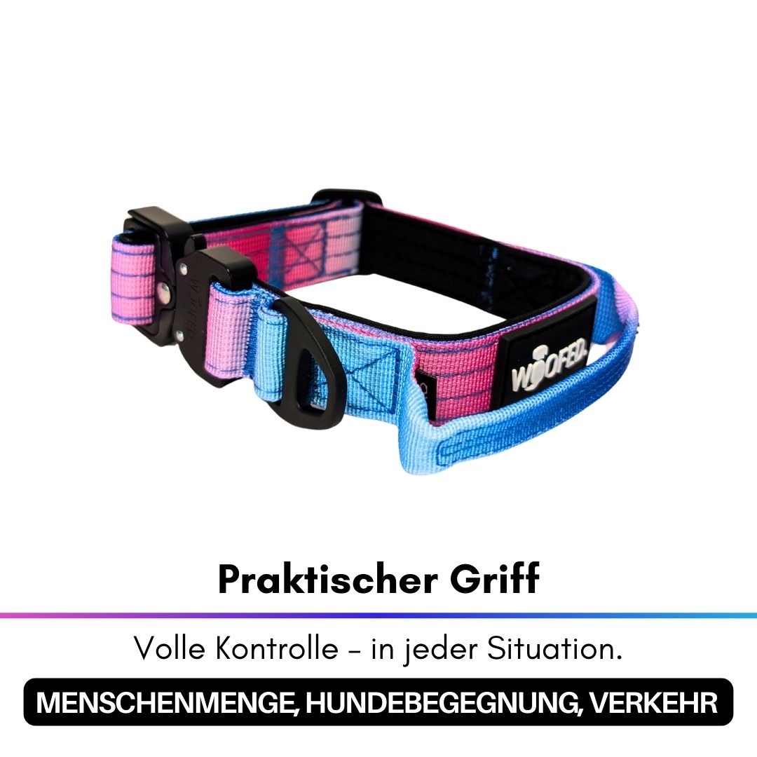 taktisches Nylon Halsband für kleine Hunde Pink Blue Sky