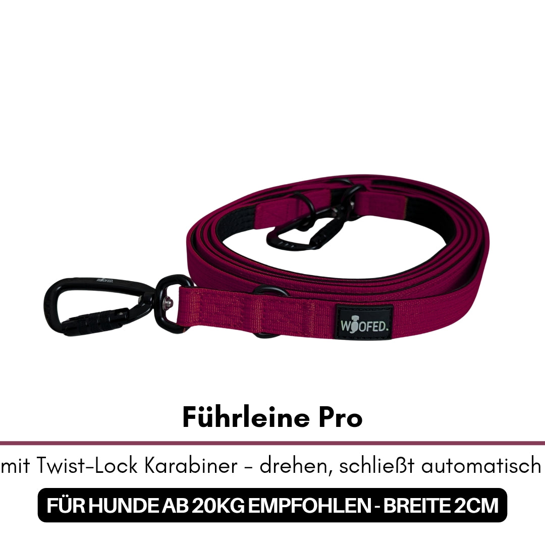 Aufgerollte bordeauxfarbene Führleine Pro mit schwarzem Twist-Lock-Karabiner und WOOFED-Label