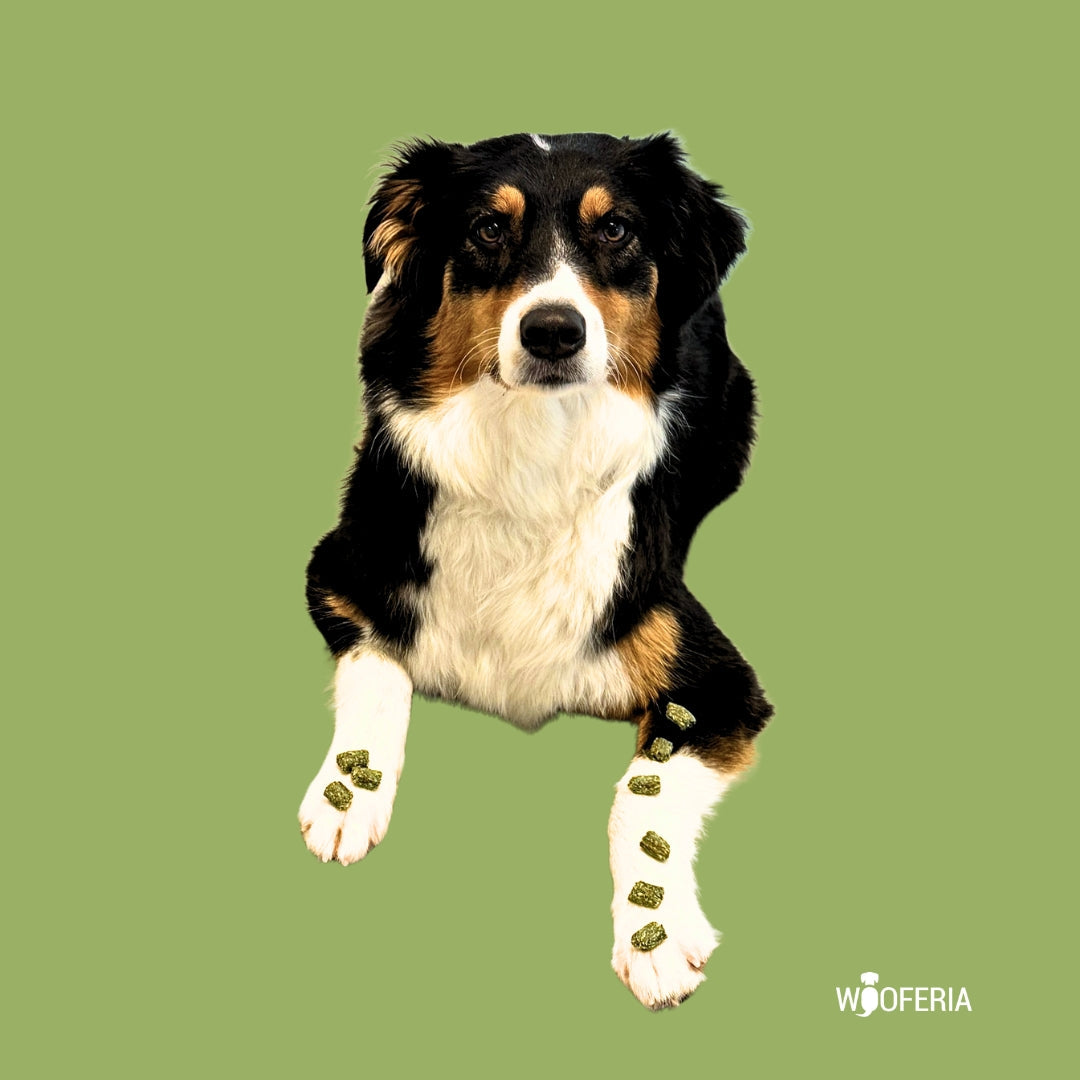 Spirulina Trainingssnack