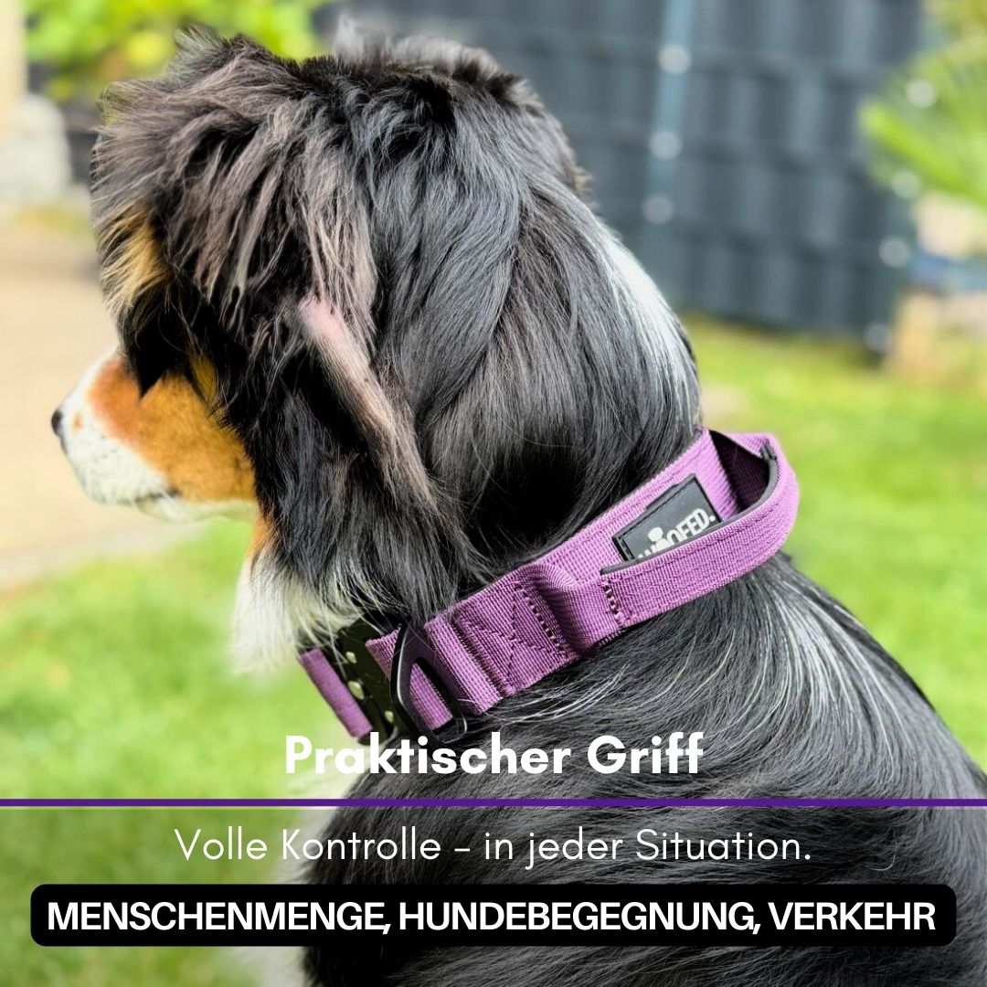 taktisches Nylon Halsband Velvet Purple - ultraleicht