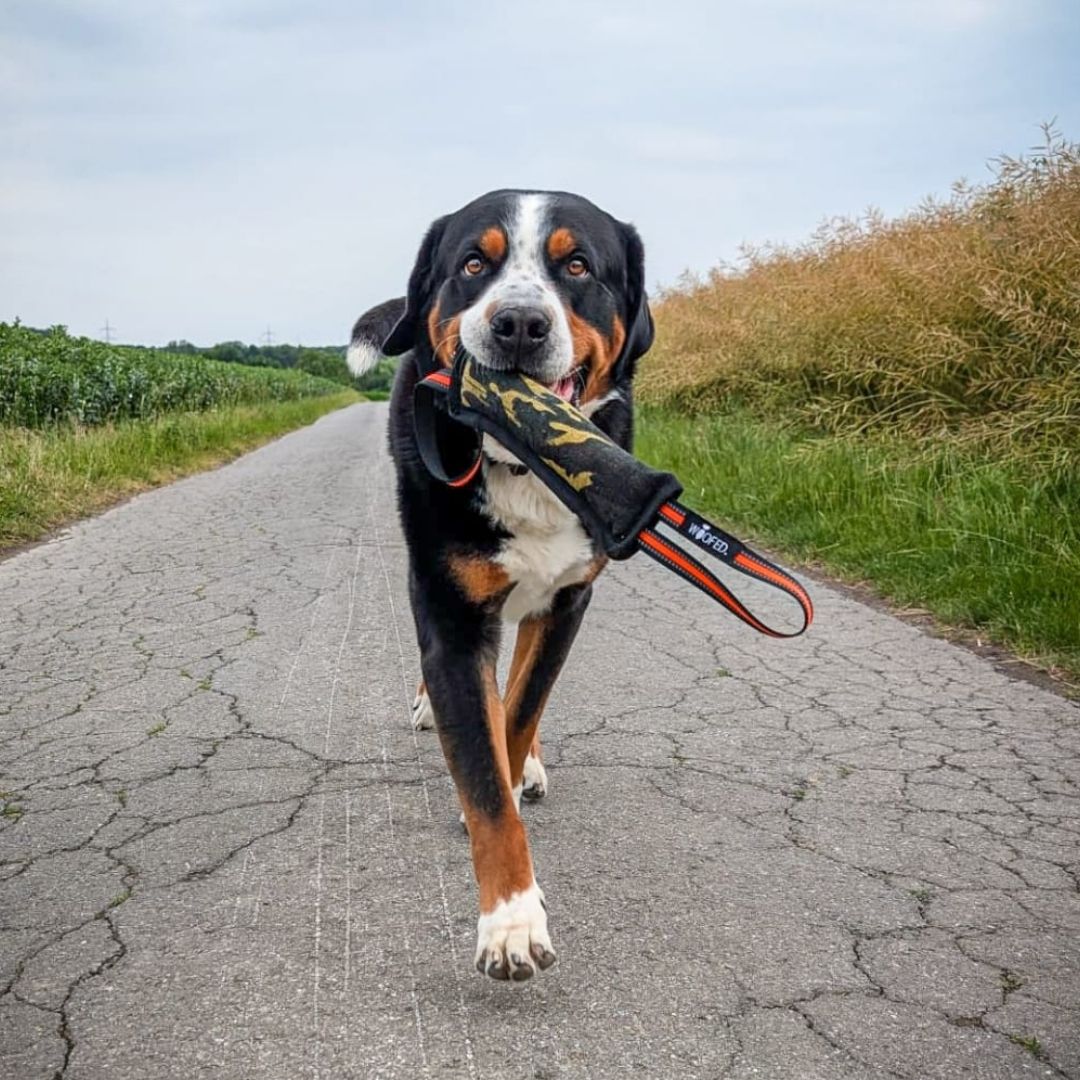 Hundespielzeug Beißwurst Camo